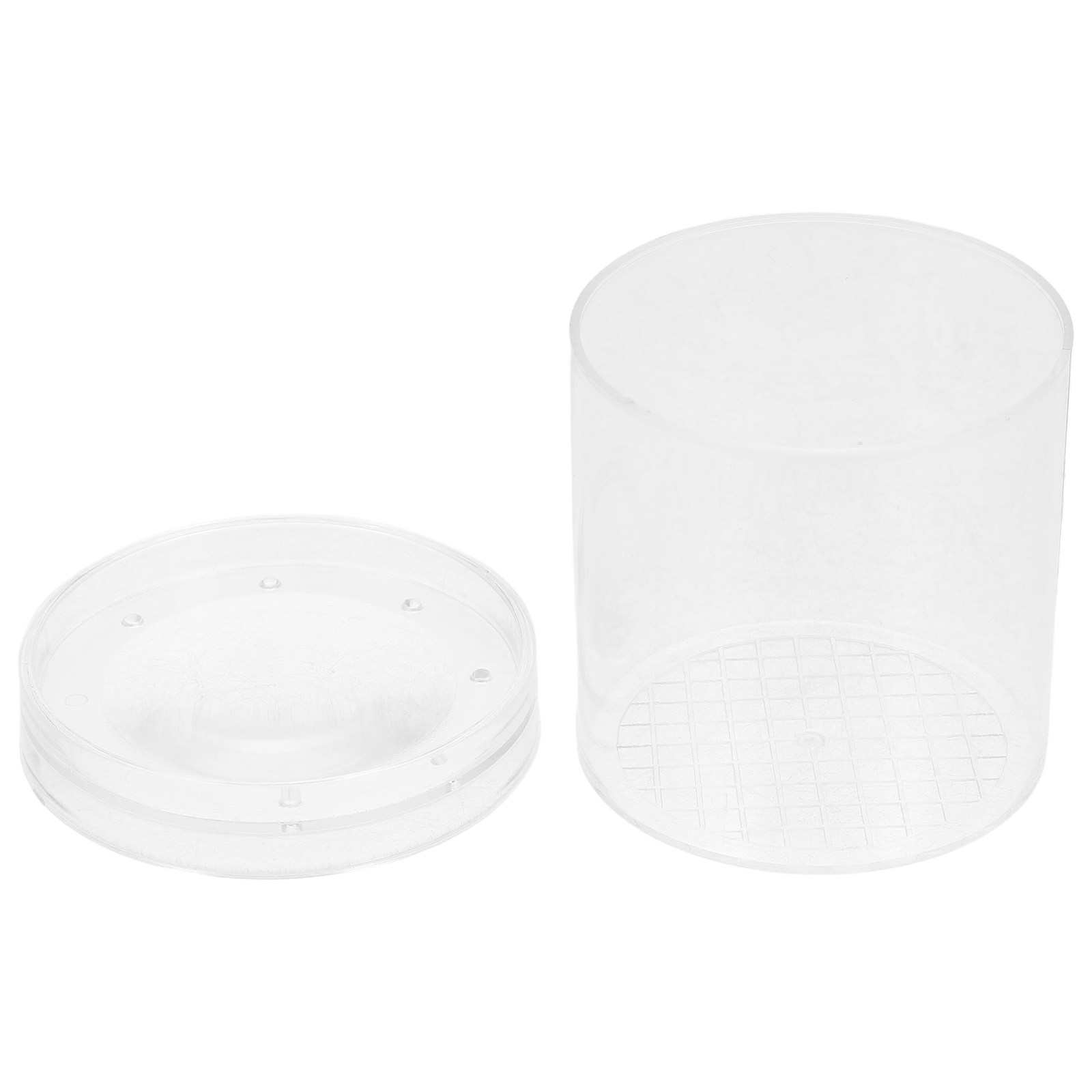 Science Toy - 3X vergrotende insectenobservatiedoos Educatief wetenschappelijk verkenningstool