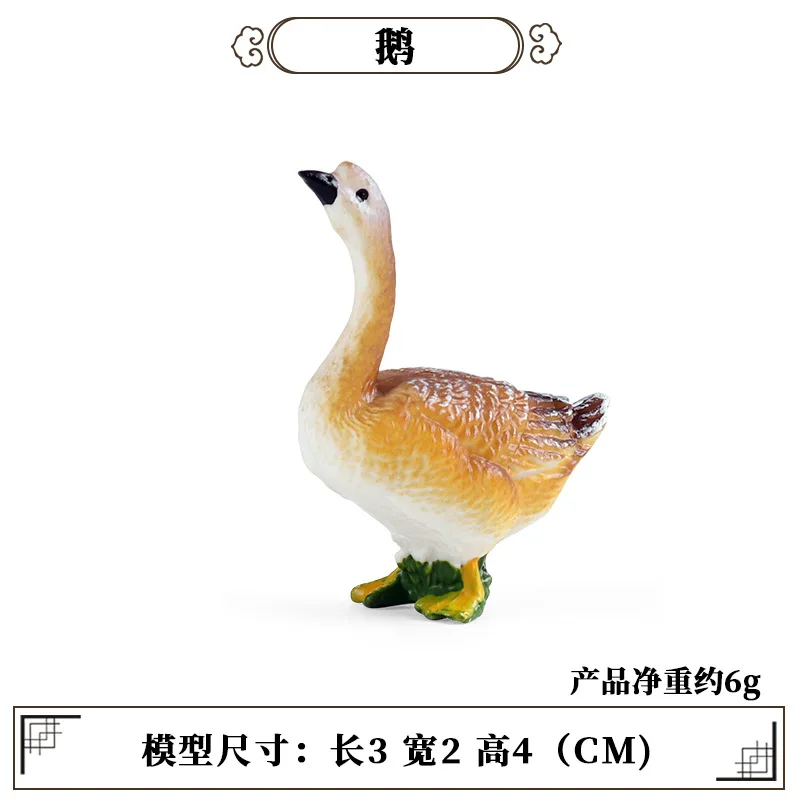 Science Toy - Onderwijs Leermiddel Gevogelte Dier Mini Model