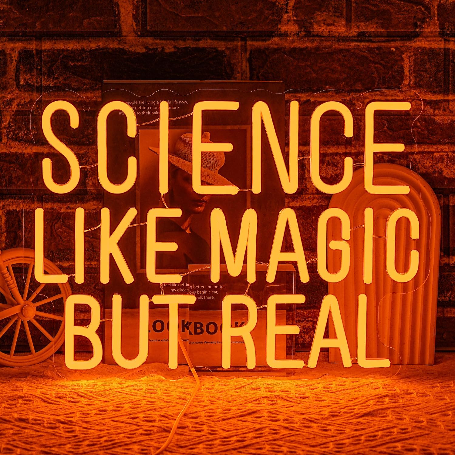 Wetenschappelijke Neonlicht US - Science Hobbyist recensie en prijs