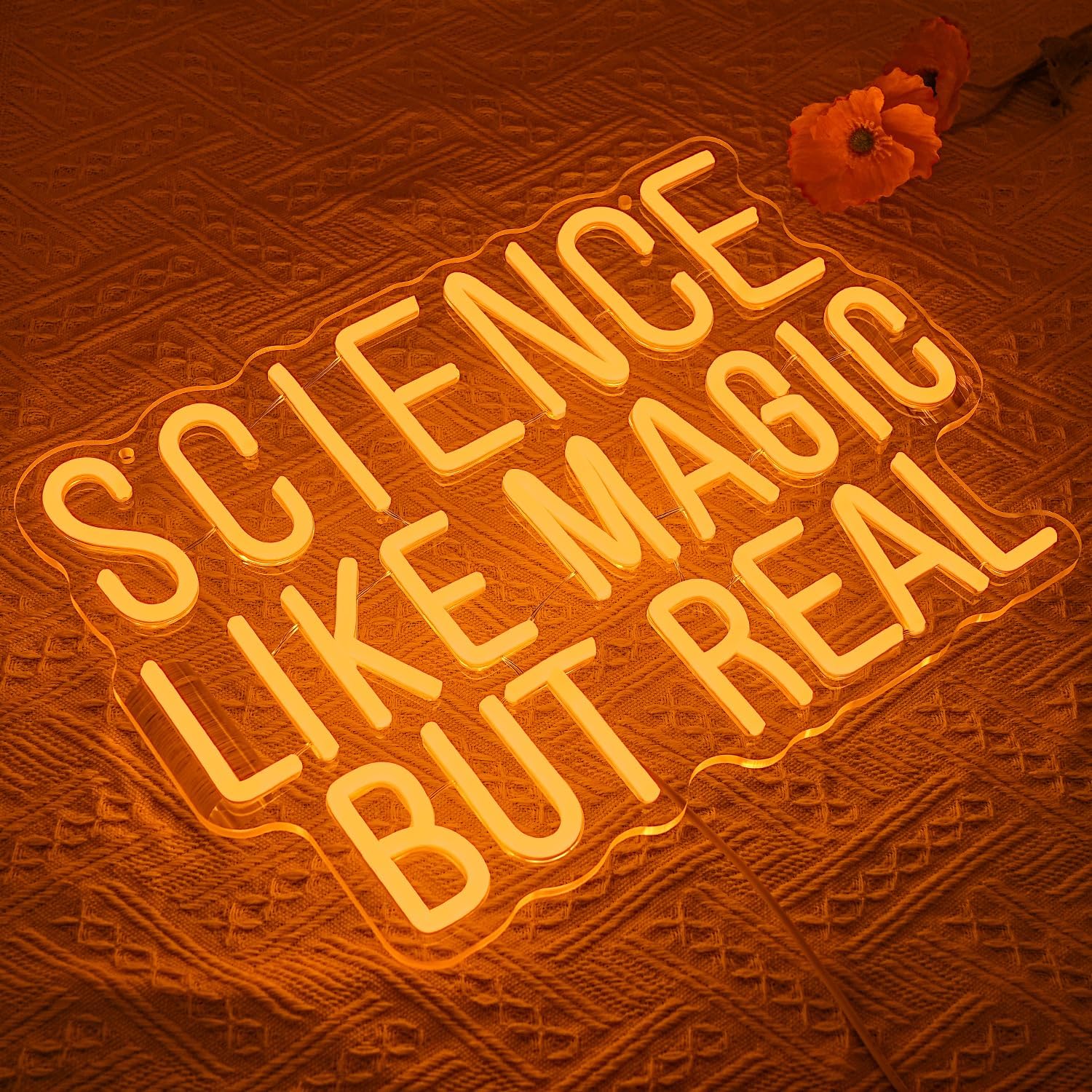 Wetenschappelijke Neonlicht US - Science Hobbyist recensie en prijs