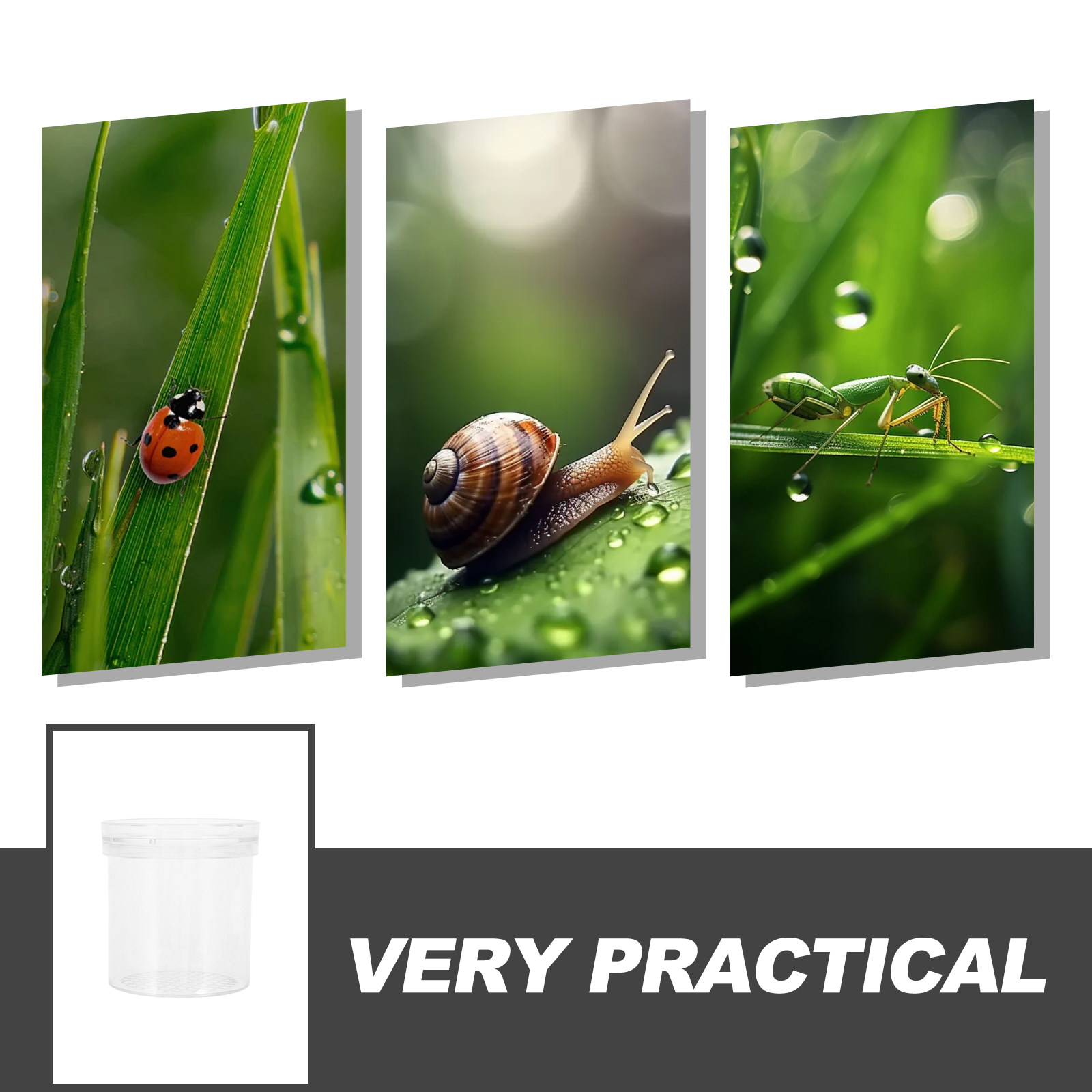 3X vergrotende insectenobserva - Science Toy recensie en prijs