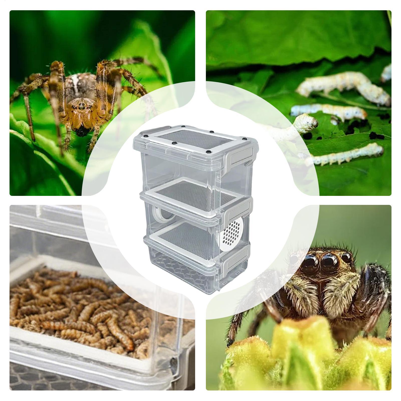 Meelworm Kweekset 3-laags Zijd - Science Hobbyist recensie en prijs